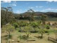 36 Yowaka River Road, Greigs Flat NSW 2549