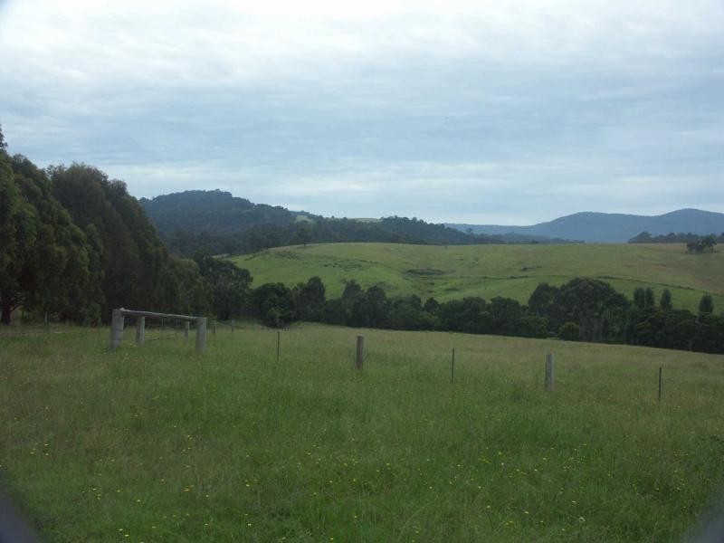 Lot 1033 Devils Hole Road, Wyndham NSW 2550