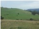 Lot 1033 Devils Hole Road, Wyndham NSW 2550