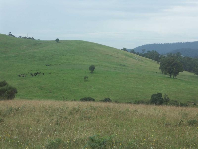 Lot 1033 Devils Hole Road, Wyndham NSW 2550