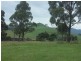 Lot 1033 Devils Hole Road, Wyndham NSW 2550