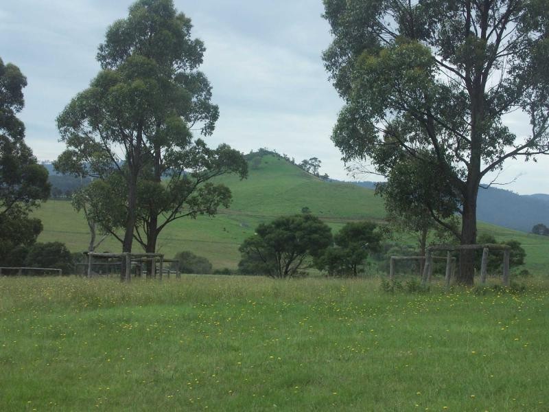 Lot 1033 Devils Hole Road, Wyndham NSW 2550