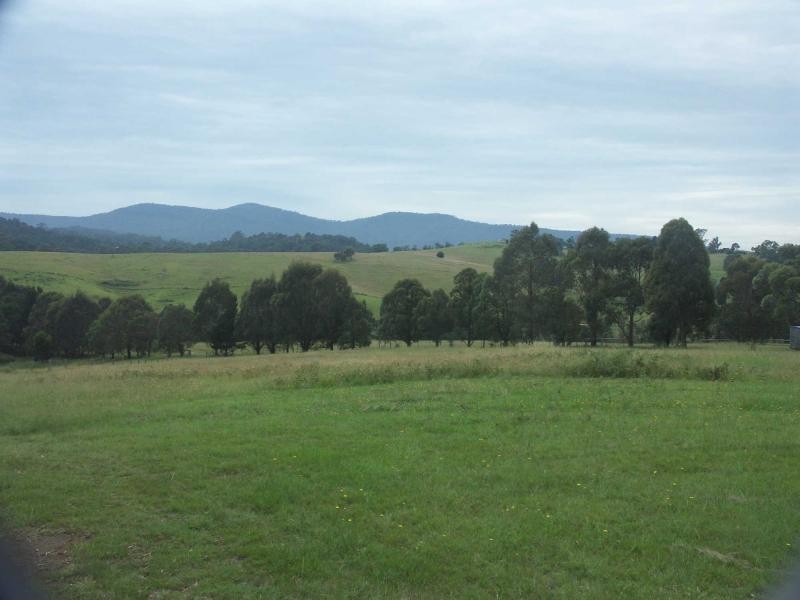 Lot 1033 Devils Hole Road, Wyndham NSW 2550