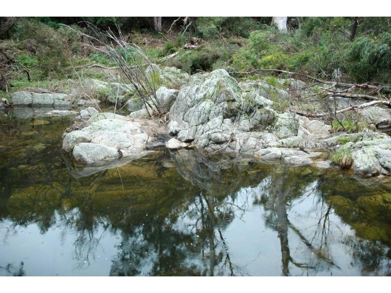 2765 Towamba Road, Towamba NSW 2550