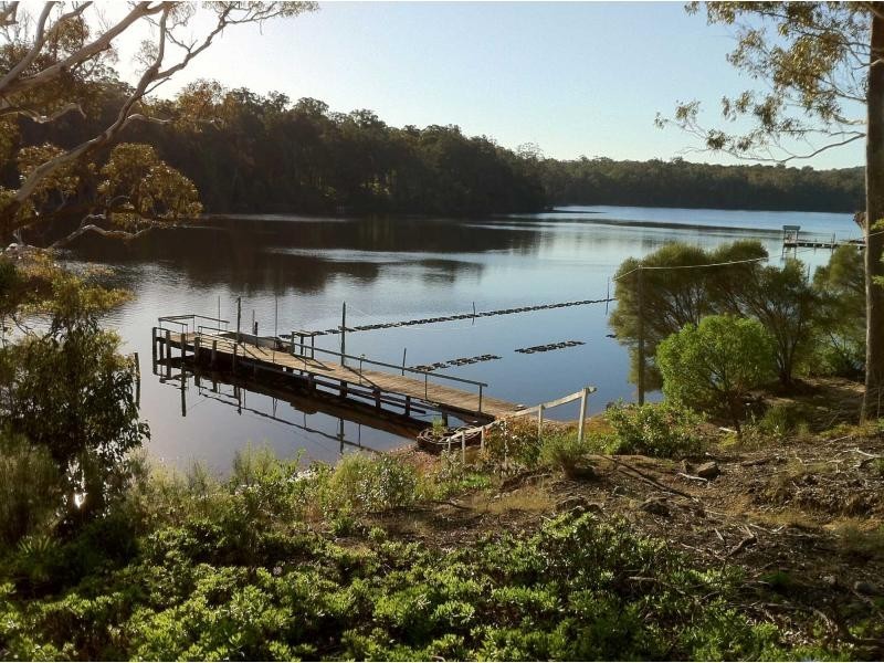 203 Daunceys Road, Wonboyn North NSW 2551