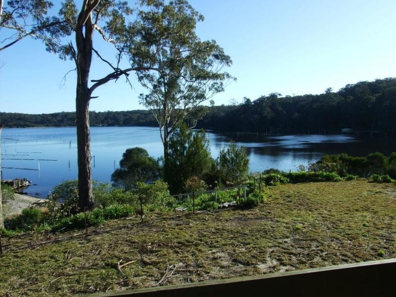 203 Daunceys Road, Wonboyn North NSW 2551