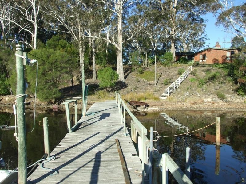 203 Daunceys Road, Wonboyn North NSW 2551