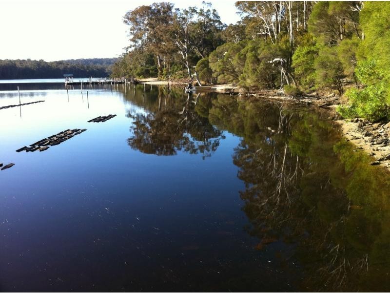 203 Daunceys Road, Wonboyn North NSW 2551