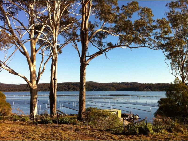 203 Daunceys Road, Wonboyn North NSW 2551