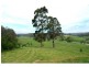 Lot 47-48 Lower Towamba Road, Kiah NSW 2551