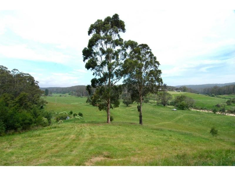 Lot 47-48 Lower Towamba Road, Kiah NSW 2551