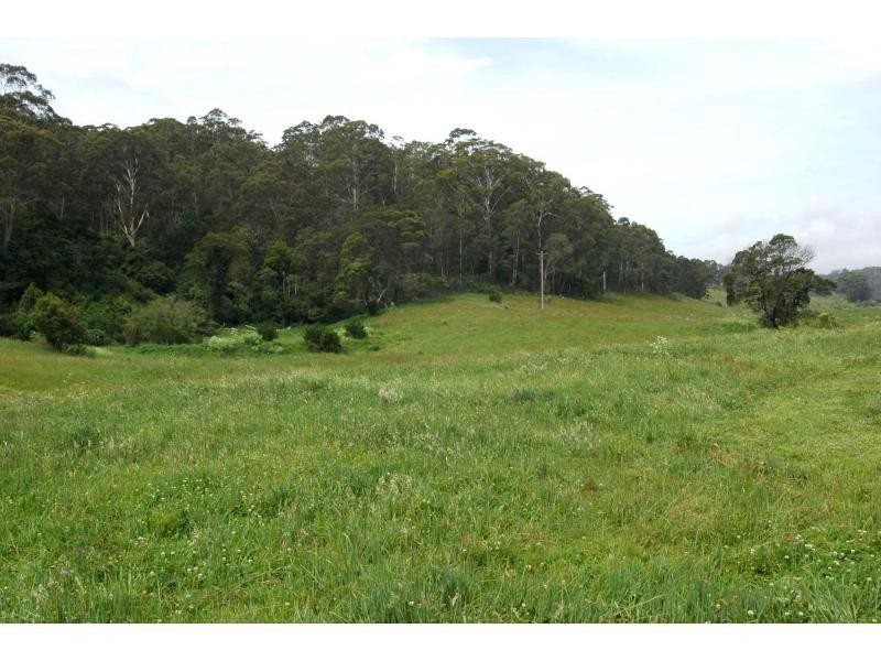 Lot 47-48 Lower Towamba Road, Kiah NSW 2551