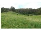 Lot 47-48 Lower Towamba Road, Kiah NSW 2551