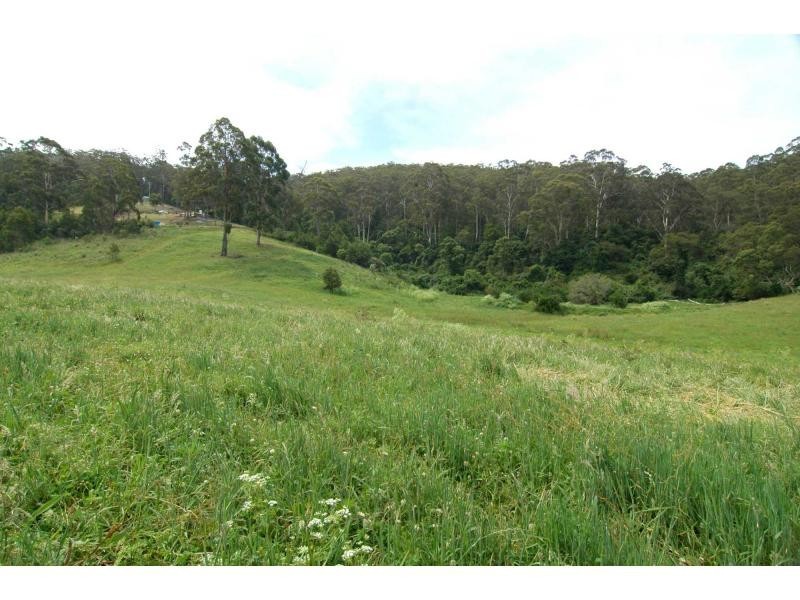 Lot 47-48 Lower Towamba Road, Kiah NSW 2551