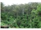 Lot 47-48 Lower Towamba Road, Kiah NSW 2551