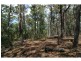 Lot 47-48 Lower Towamba Road, Kiah NSW 2551