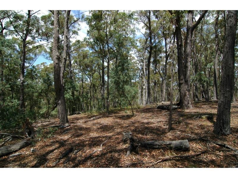 Lot 47-48 Lower Towamba Road, Kiah NSW 2551