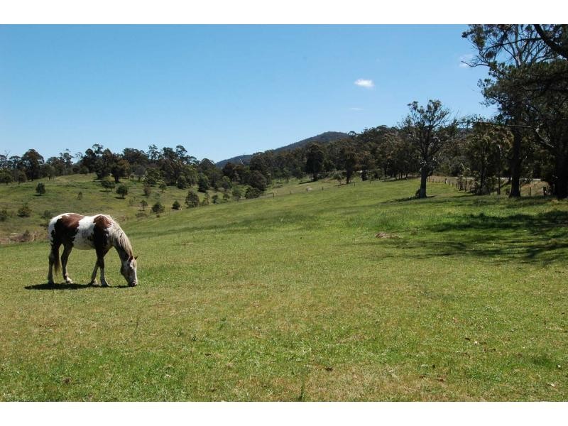 2385 Mount Darragh Road, Wyndham NSW 2550