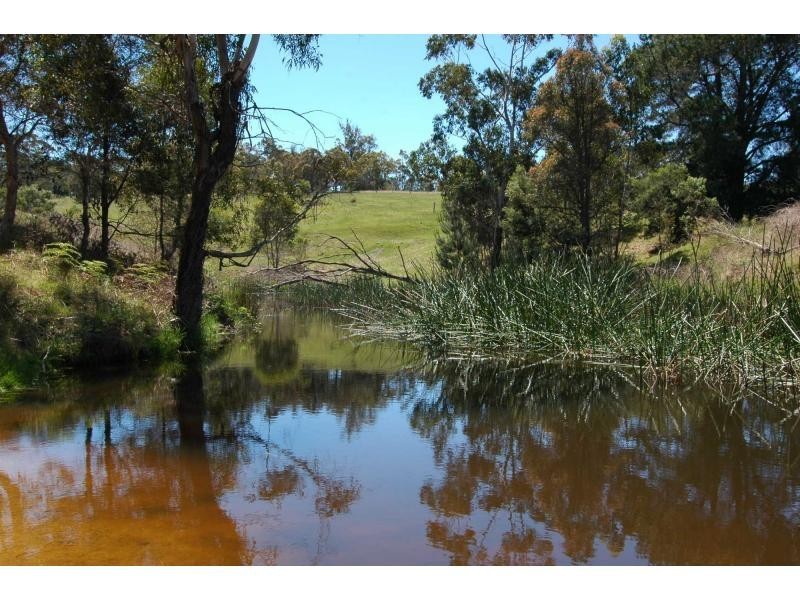 2385 Mount Darragh Road, Wyndham NSW 2550