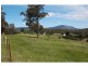 2385 Mount Darragh Road, Wyndham NSW 2550