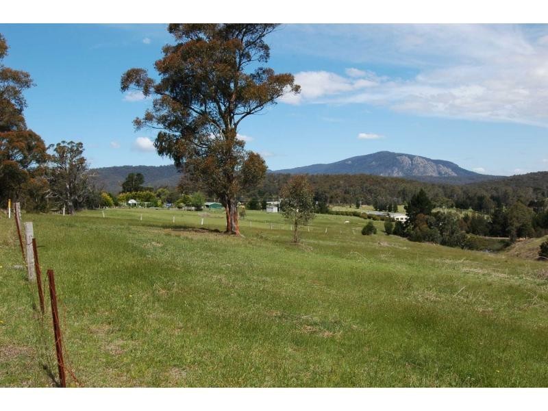 2385 Mount Darragh Road, Wyndham NSW 2550