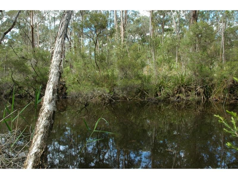 71 Maramingo Road, Maramingo Creek VIC 3891