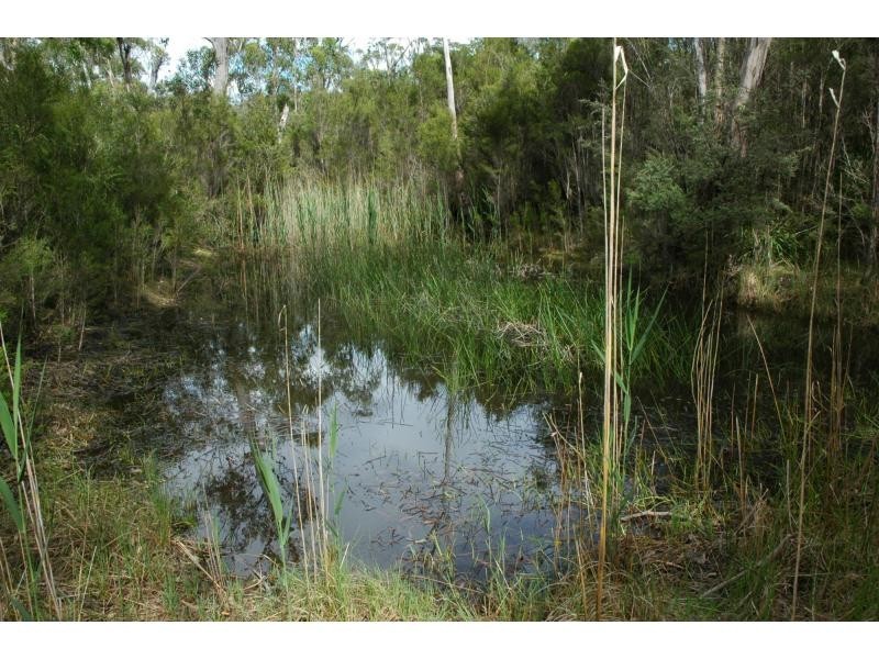 71 Maramingo Road, Maramingo Creek VIC 3891