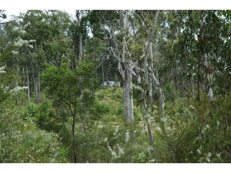 71 Maramingo Road, Maramingo Creek VIC 3891