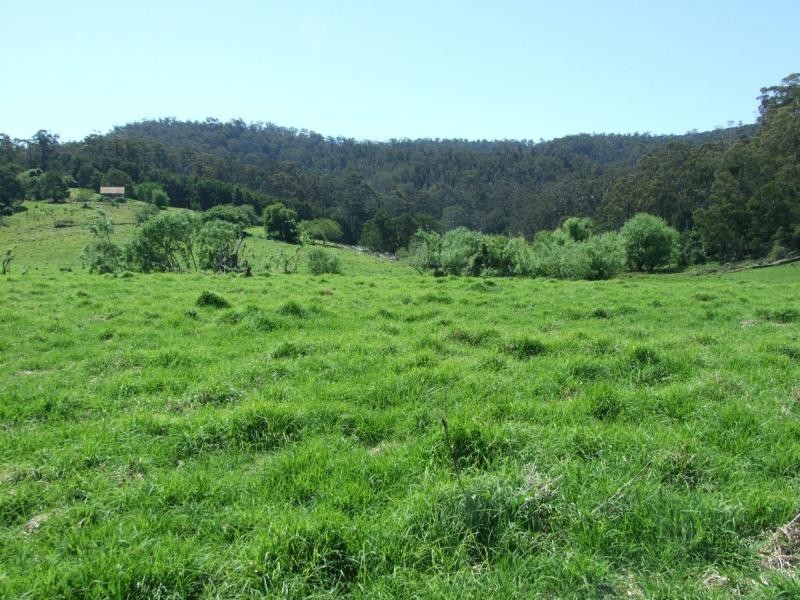 L44, 50, 72 The Snake Track, Kiah, Kiah NSW 2551