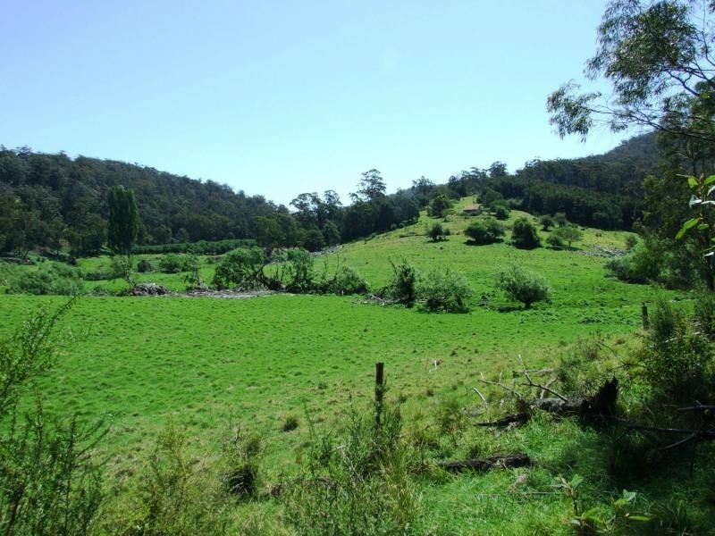 L44, 50, 72 The Snake Track, Kiah, Kiah NSW 2551