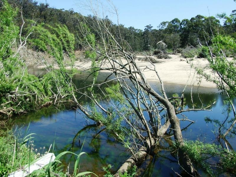 L44, 50, 72 The Snake Track, Kiah, Kiah NSW 2551