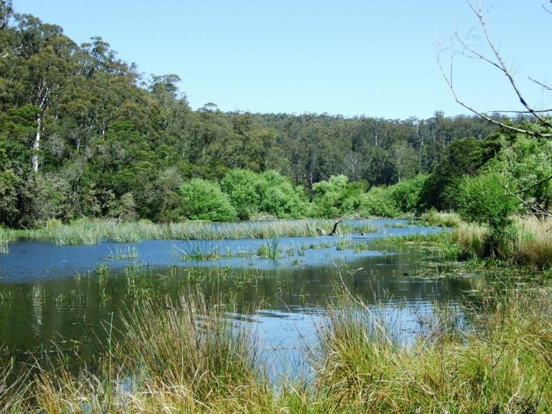 L44, 50, 72 The Snake Track, Kiah, Kiah NSW 2551