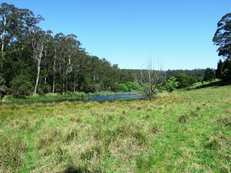 L44, 50, 72 The Snake Track, Kiah, Kiah NSW 2551