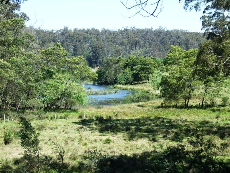 L44, 50, 72 The Snake Track, Kiah, Kiah NSW 2551