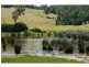 1054 Wallagaraugh Road, Wallagaraugh VIC 3891