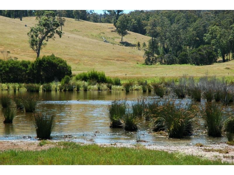 1054 Wallagaraugh Road, Wallagaraugh VIC 3891