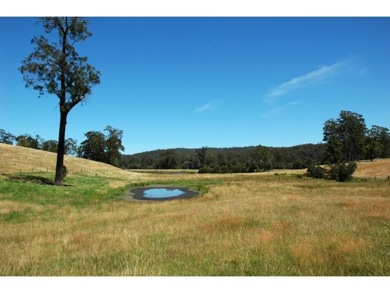 1054 Wallagaraugh Road, Wallagaraugh VIC 3891