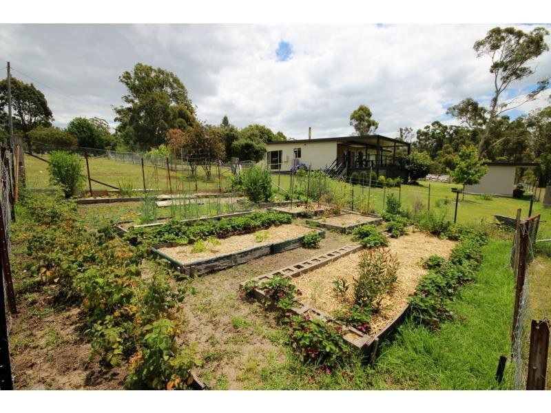 2386 Mount Darragh Road, Wyndham NSW 2550