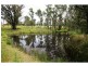 2386 Mount Darragh Road, Wyndham NSW 2550