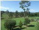 2386 Mount Darragh Road, Wyndham NSW 2550