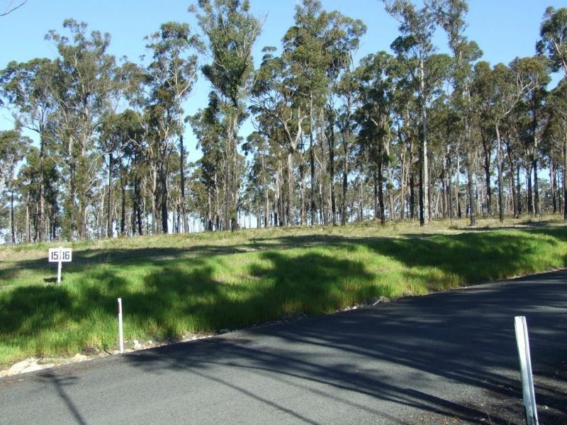 Lot 16 Greigs Flat Road, Greigs Flat NSW 2549
