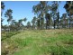 Lot 16 Greigs Flat Road, Greigs Flat NSW 2549