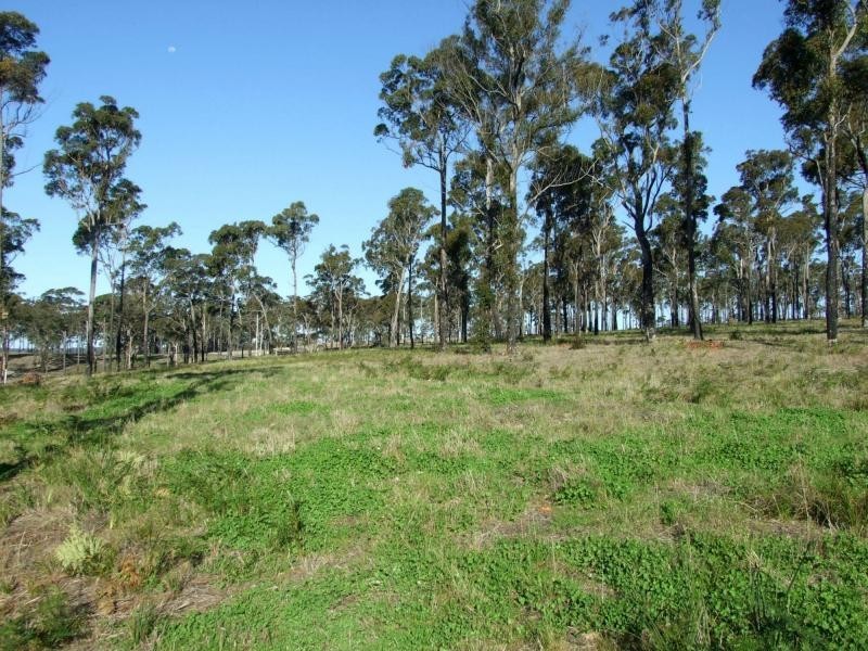 Lot 16 Greigs Flat Road, Greigs Flat NSW 2549
