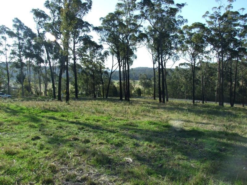 Lot 16 Greigs Flat Road, Greigs Flat NSW 2549