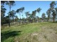 Lot 16 Greigs Flat Road, Greigs Flat NSW 2549