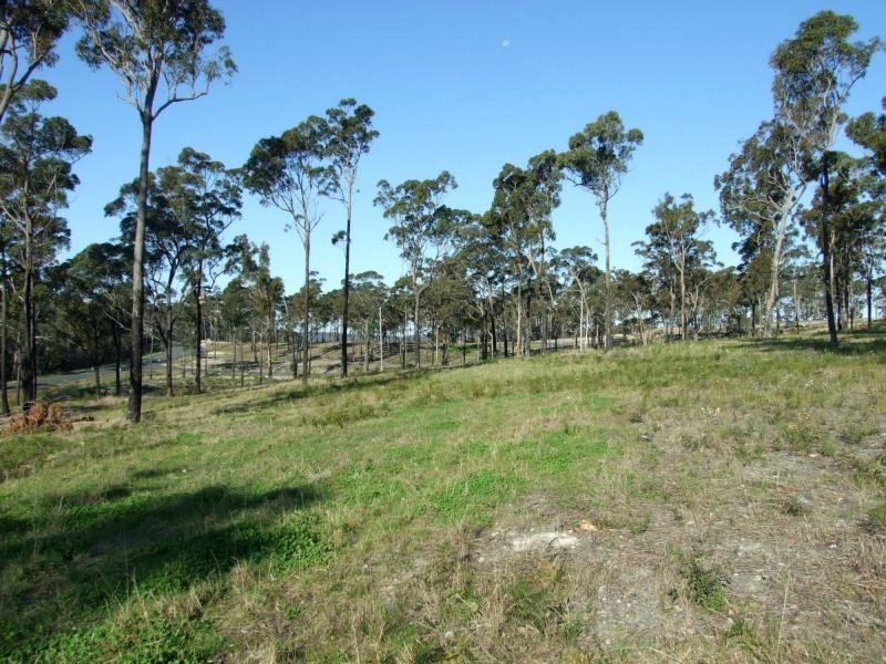Lot 16 Greigs Flat Road, Greigs Flat NSW 2549