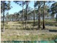 Lot 15 Greigs Flat Road, Greigs Flat NSW 2549