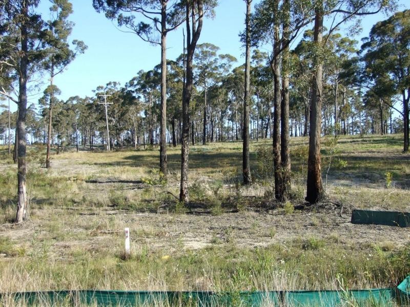 Lot 15 Greigs Flat Road, Greigs Flat NSW 2549