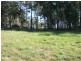 L46 Lochview Farm Road, Lochiel NSW 2549