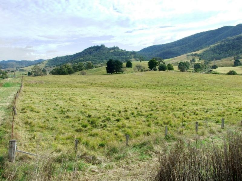 Lot 41-42 Mount Darragh Road, Wyndham NSW 2550